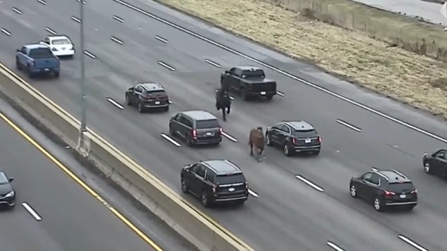 Bild zum Artikel mit dem Titel: Polizei jagt entflohene Pferde kilometerweit auf dem längsten Highway der USA